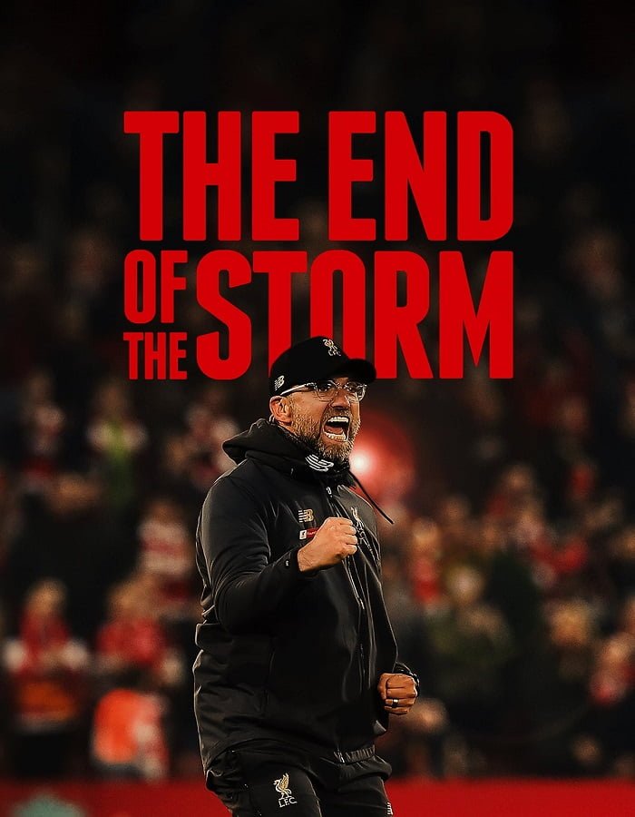 The End of the Storm (2020)